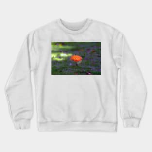 African Daisy Crewneck Sweatshirt